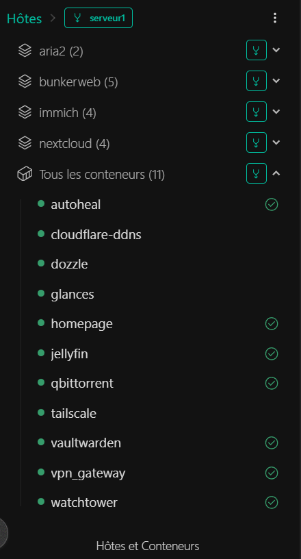 Interface d'un serveur personnel